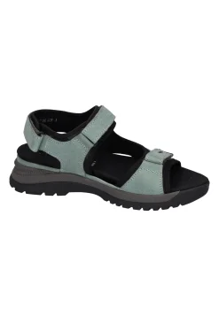 Hot Waldläufer H-Sora Cyan Schwarz